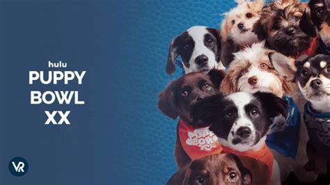 Puppy Bowl 2024 Watch Online